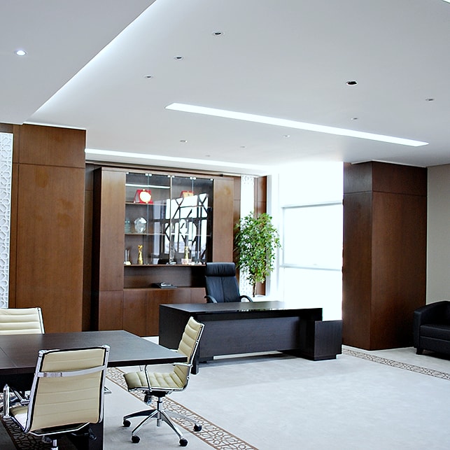 Civic project 20